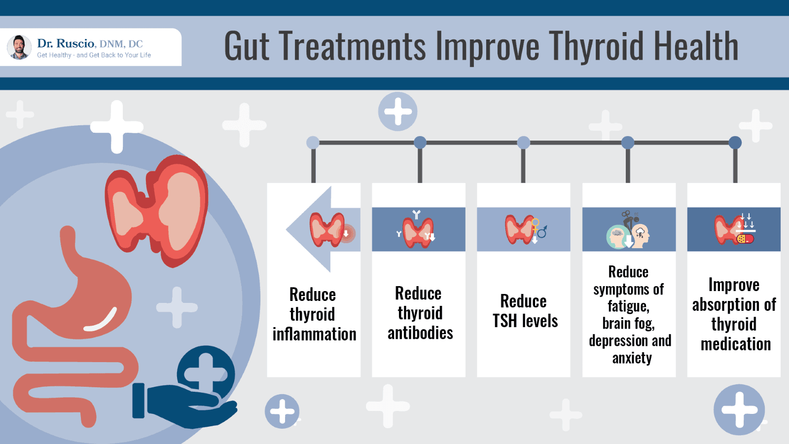 Gut treatments that improve thyroid health infographic by Dr. Ruscio